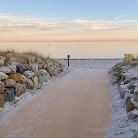 11 Suedstrandlaeufer App.58-003